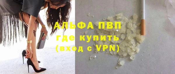 индика Аркадак