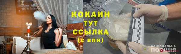 стаф Семилуки
