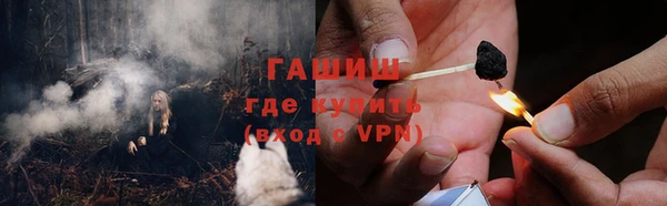 индика Аркадак