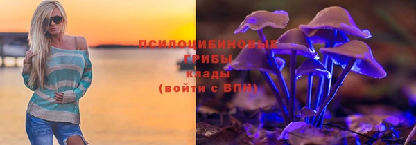 индика Аркадак
