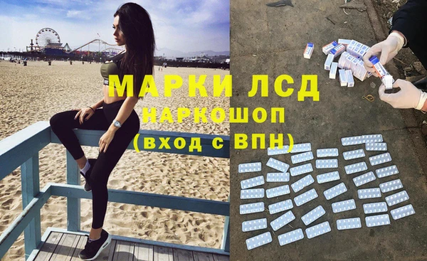 индика Аркадак