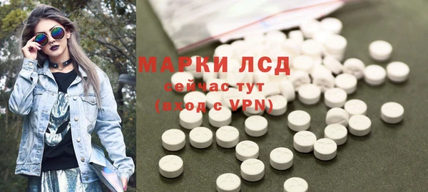 индика Аркадак