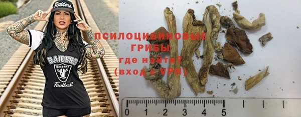 индика Аркадак